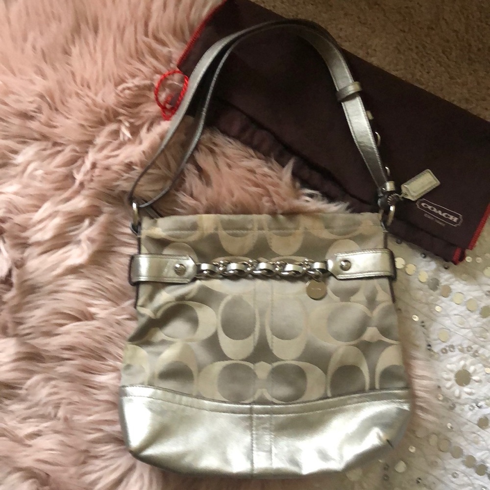 Silver Coach bag